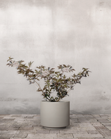 type=Simple krukke/color=Light Sand