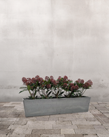 Skimmiakassen, Rød - Altankasse m. vandreservoir