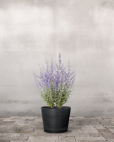 type=Greenify Udendørskrukke/color=Sort