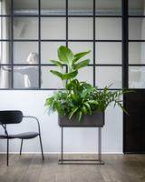 Simple Box - Flere varianter