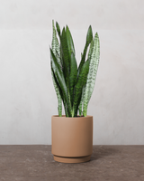 type=Simple krukke/color=Pale Terracotta