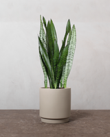 type=Simple krukke/color=Light Sand