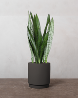 type=Simple krukke/color=Warm Black