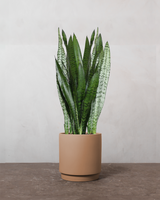 type=Simple krukke/color=Pale Terracotta