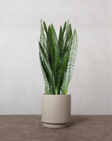 type=Simple krukke/color=Light Sand