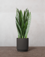 type=Simple krukke/color=Warm Black