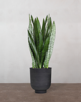 type=Vig krukke/color=Sort