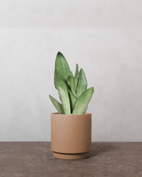 type=Simple krukke/color=Pale Terracotta