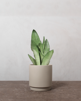 type=Simple krukke/color=Light Sand