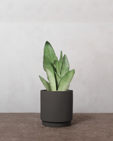 type=Simple krukke/color=Warm Black