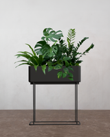 Simple Box Plantepakke - Flere varianter