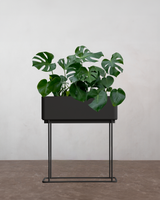 Simple Box Plantepakke - Flere varianter