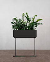 Simple Box Plantepakke - Flere varianter