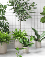 Simple Pot Clay - Light Sand - Ø18