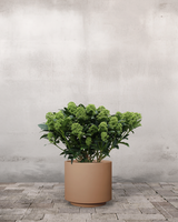 type=Simple krukke/color=Pale Terracotta