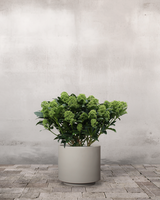 type=Simple krukke/color=Light Sand