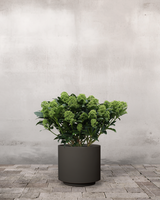 type=Simple krukke/color=Warm Black