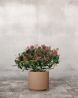 type=Simple krukke/color=Pale Terracotta