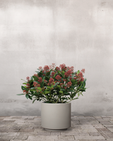 type=Simple krukke/color=Light Sand