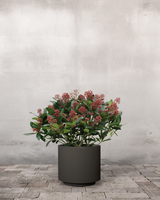 type=Simple krukke/color=Warm Black