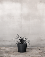 type=Greenify Udendørskrukke/color=Sort