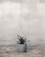 type=Greenify Udendørskrukke/color=Grå