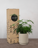 type=Simple krukke/color=Light Sand