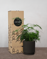 type=Simple krukke/color=Warm Black