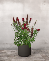 type=Simple krukke/color=Warm Black