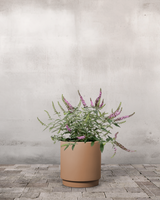 type=Simple krukke/color=Pale Terracotta