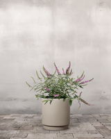 type=Simple krukke/color=Light Sand