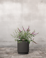 type=Simple krukke/color=Warm Black