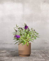 type=Simple krukke/color=Pale Terracotta