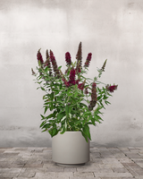 type=Simple krukke/color=Light Sand