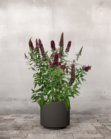 type=Simple krukke/color=Warm Black