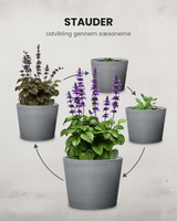 Den Gråblå Staudekrukke - Greenify Udendørskrukke