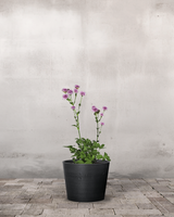 type=Greenify Udendørskrukke/color=Sort