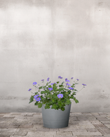 type=Greenify Udendørskrukke/color=Grå