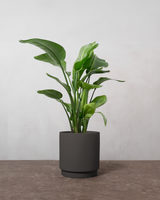 type=Simple krukke/color=Warm Black