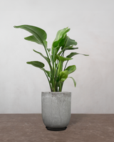 type=Glaseret krukke/color=Grå