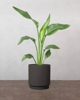 type=Simple krukke/color=Warm Black