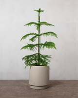 type=Simple krukke/color=Light Sand