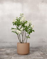 type=Simple krukke/color=Pale Terracotta