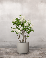 type=Simple krukke/color=Light Sand