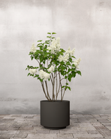 type=Simple krukke/color=Warm Black