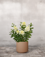 type=Simple krukke/color=Pale Terracotta