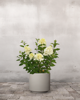 type=Simple krukke/color=Light Sand