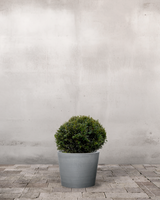 type=Greenify Udendørskrukke/color=Grå