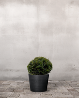 type=Greenify Udendørskrukke/color=Sort