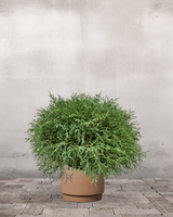 type=Simple krukke/color=Pale Terracotta